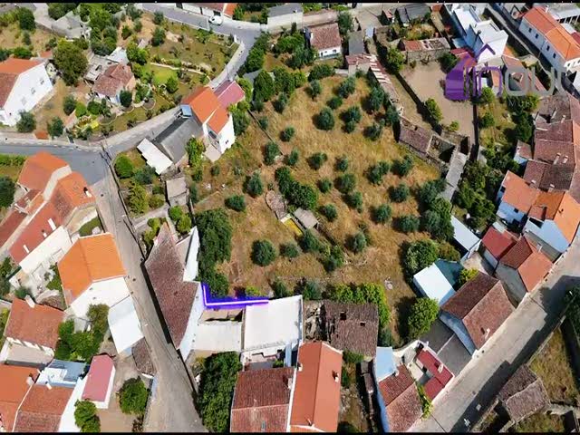 No Flash found